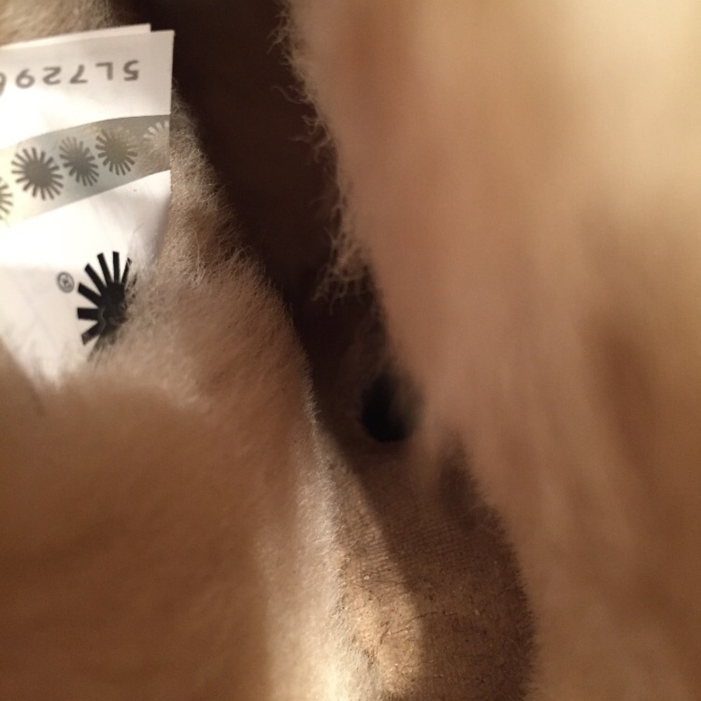 New UGG Mini Bailey Chestnut Poppy Suede Boots - Picture 6 of 8